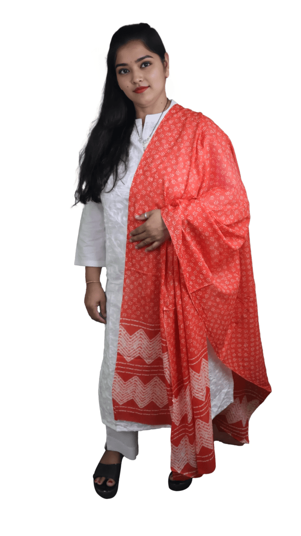 White Flower Design Engraved Salwar Suit with Red Dupatta (D.No-801) - Image 4